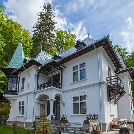 Il Piccolo Castello Buşteni Eksteriør billede
