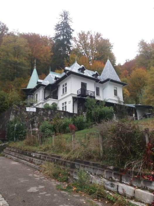 Il Piccolo Castello Buşteni Eksteriør billede