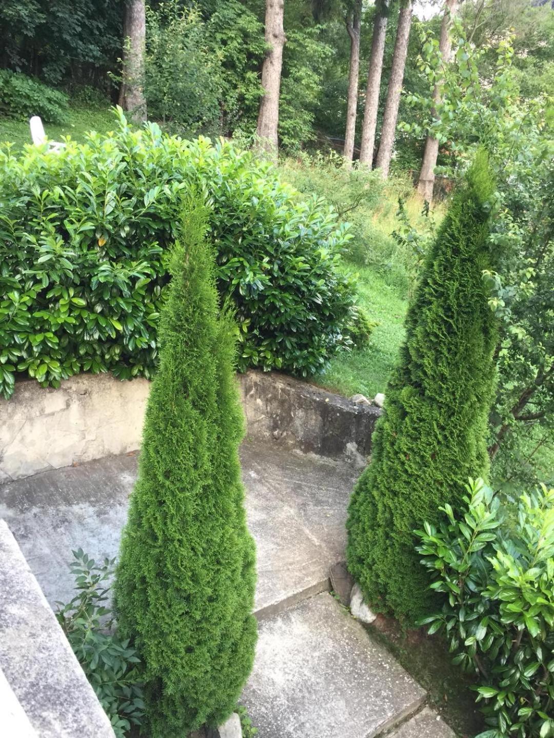 Il Piccolo Castello Buşteni Eksteriør billede