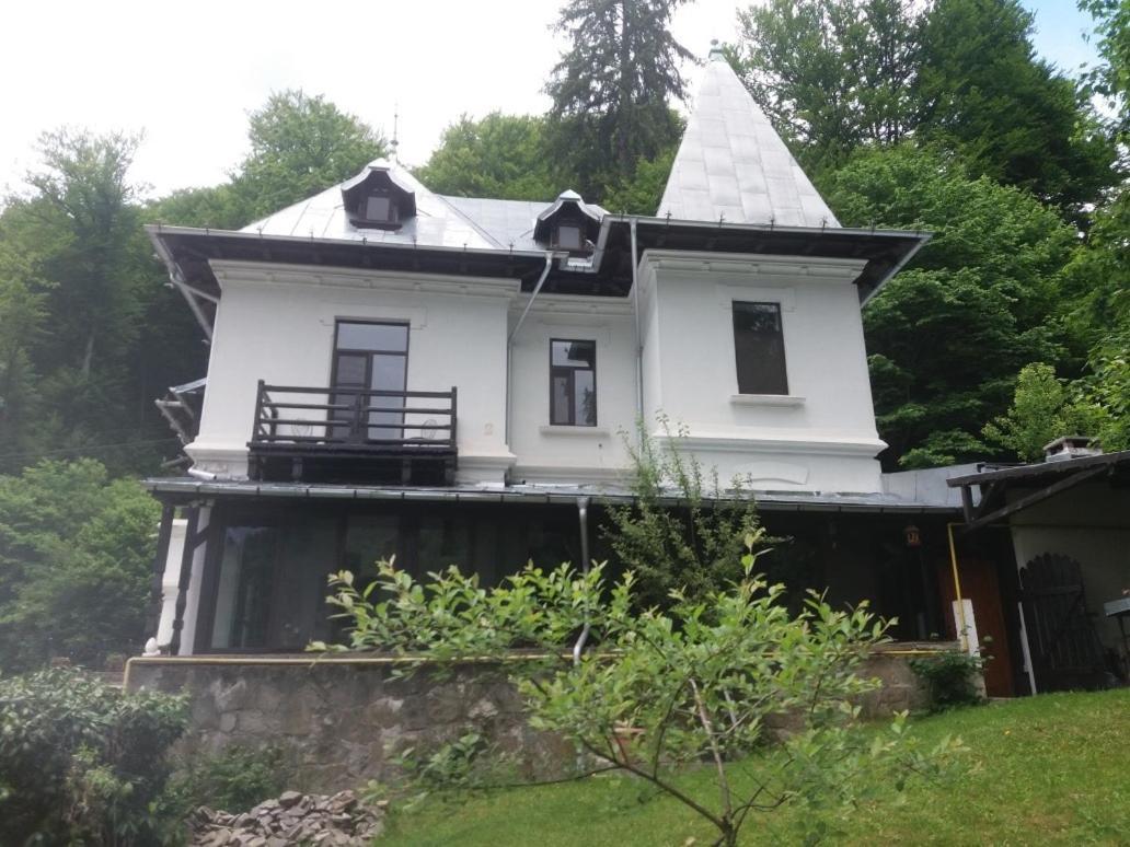 Il Piccolo Castello Buşteni Eksteriør billede
