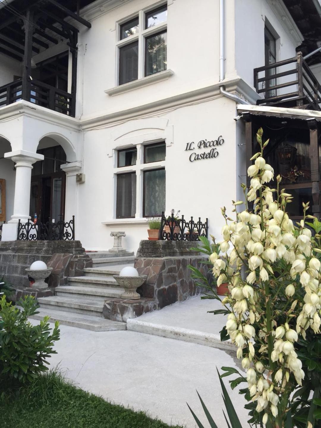 Il Piccolo Castello Buşteni Eksteriør billede