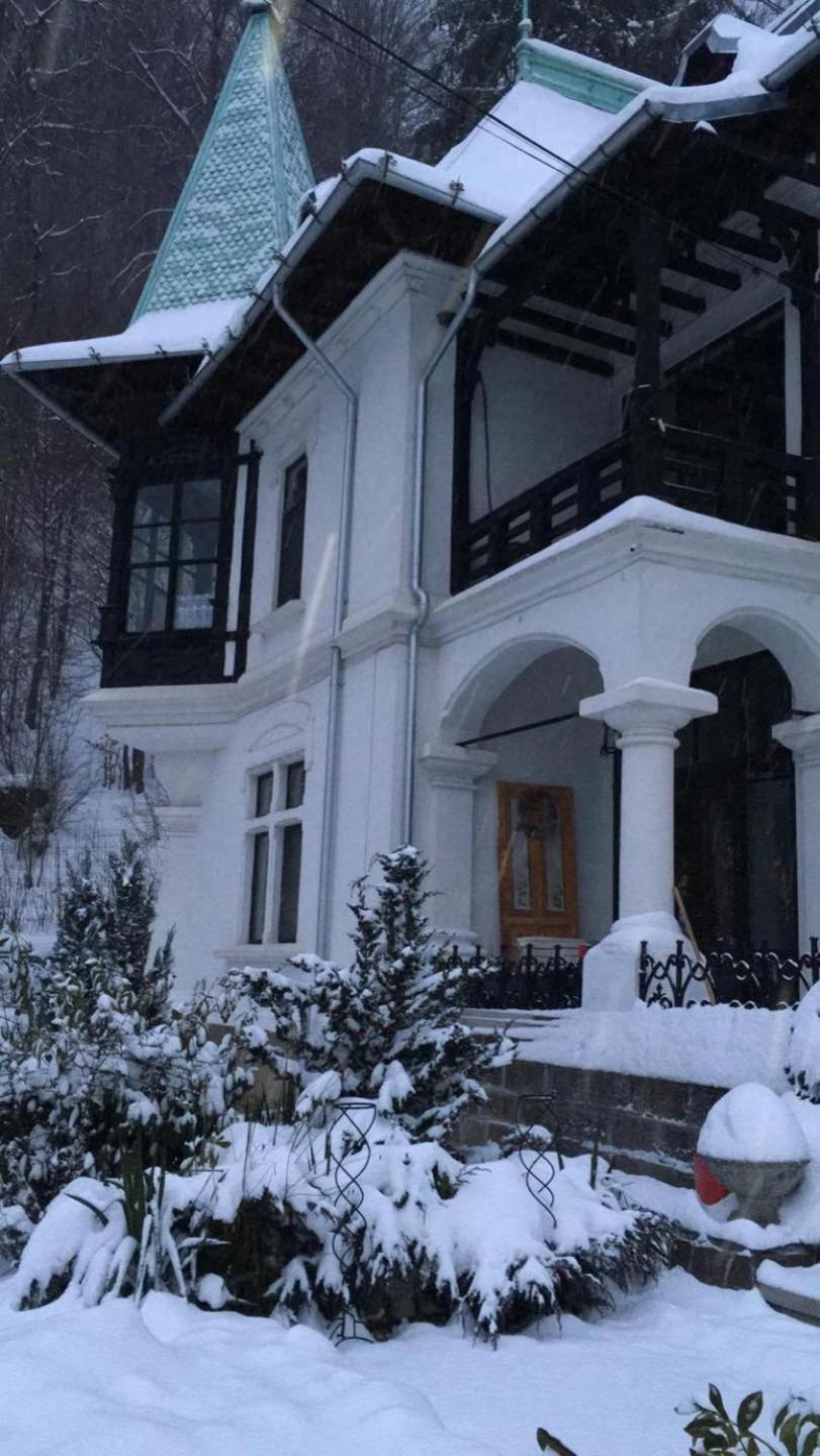 Il Piccolo Castello Buşteni Eksteriør billede