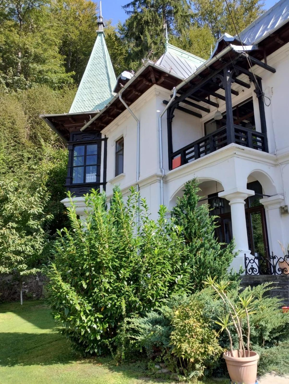 Il Piccolo Castello Buşteni Eksteriør billede