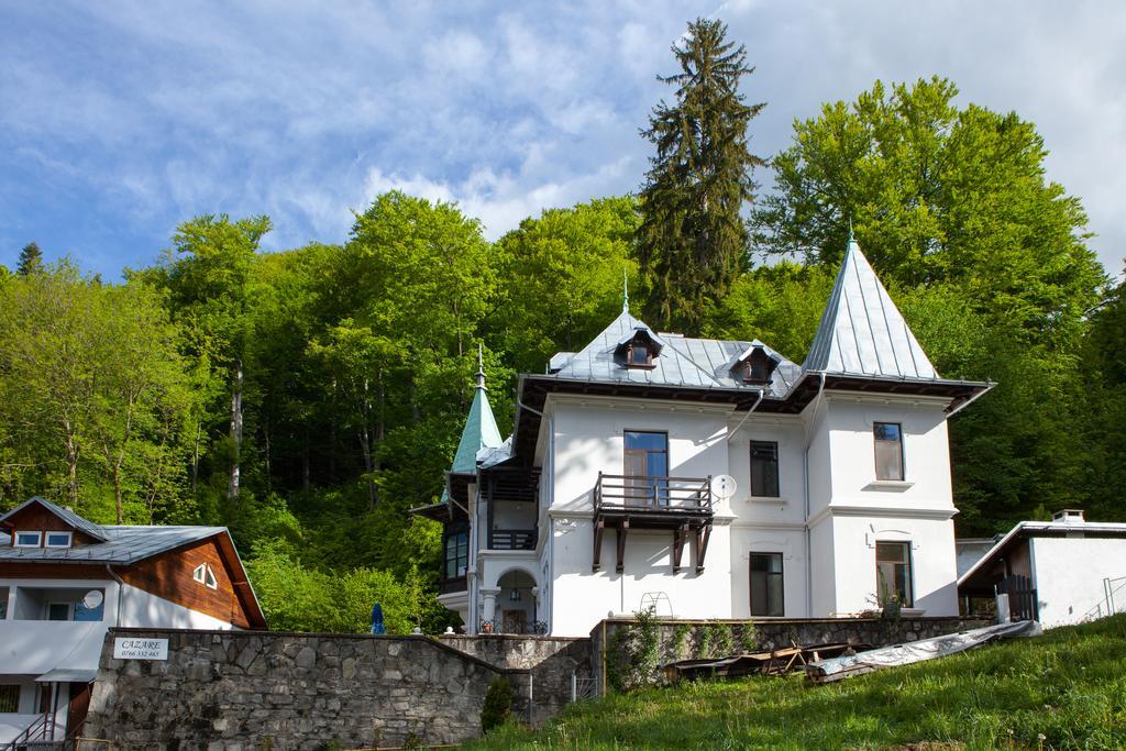 Il Piccolo Castello Buşteni Eksteriør billede